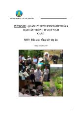 Quản lý bệnh phytophthora hại cây trồng ở Việt Nam card