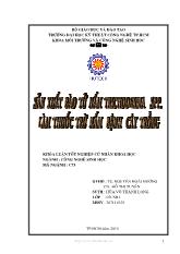 Sản xuất bào tử nấm Trichoderma SPP làm thuốc trừ nấm bệnh cây trồng