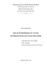Sản xuất biodiesel từ vi tảo: Kỹ thuật nuôi cấy vi tảo thu lipid