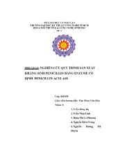 Tiểu luận Nghiên cứu quy trình sản xuất kháng sinh penicillin bằng enzyme cố định penicillin acylase