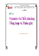 Vitamin và chất khoáng – Tổng hợp và phân giải