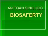 An toàn sinh học biosaferty