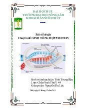 Chuyên đề Sinh tổng hợp protein