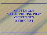 Chuyển gen và các phương pháp chuyển gen ở thực vật