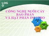 Công nghệ nuôi cấy bao phấn và hạt phấn invitro