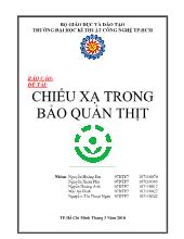 Đề tài Chiếu xạ trong bảo quản thịt