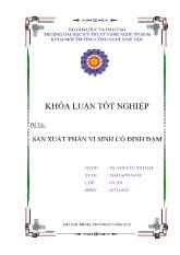 Đề tài Sản xuất phân vi sinh cố định đạm