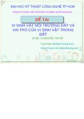 Đề tài Vi sinh vật môi trường đất và vai trò của vi sinh vật trong đất