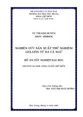 Đồ án Nghiên cứu sản xuất thử nghiệm gelatin từ da cá ngư