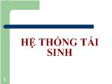 Hệ thống tái sinh