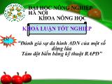 Khóa luận Đánh giá sự đa hình ADN của một số dòng lúa Tám đột biến bằng kỹ thuật RAPD