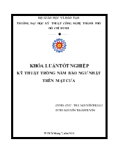 Kỹ thuật trồng nấm bào ngư nhật trên mạt cưa