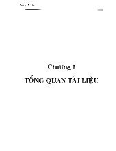 Luận văn Bước đầu nghiên cứu sản xuất đàn tôm bố mẹ penaeus vannamei từ post larvae 12 -15