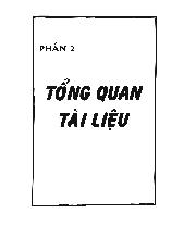 Luận văn Nghiên cứu đặc tính của enzym chitinase thunhaanj từ nấm và nấm mật coprinus fimentaius và một số ứng dụng