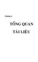 Luận văn Phân lập, định danh và tuyển chọn các chủng entirococcus có tiềm năng probiotic từ phân trẻ sơ sinh