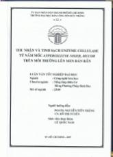 Luận văn Thu nhận và tinh sạch enzyme cellulase từ nấm mốc aspergilluse niger, mucor trên môi trường lên men bán rắn