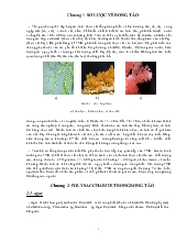 Polysaccharide trong rong tảo