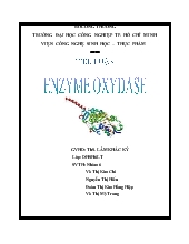 Tiểu luận Enzyme oxydase