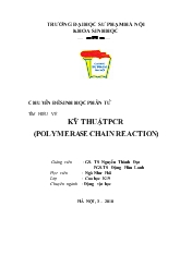 Tìm hiểu về kỹ thuật pcr (polymerase chain reaction)