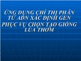 Ứng dụng chỉ thị phân tử adn xác định gen phục vụ chọn tạo giống lúa thơm