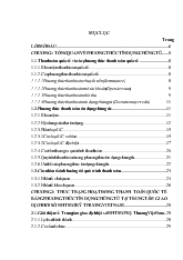 Giải pháp phát triển nghiệp vụ thanh toán quốc tế bằng phương thức tín dụng chứng từ tại Trung tâm giao dịch Hội sở Ngân hàng thương mại cổ phần Kỹ Thương Việt Nam