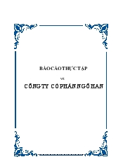 Báo cáo Thực tập về công ty cổ phần Ngô Han