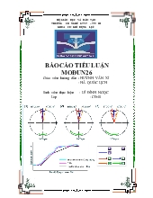 Tiểu luận mođun 26