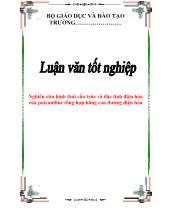 Luận văn Nghiên cứu hình thái cấu trúc và đặc tính điện hóa của polyaniline tổng hợp bằng con đường điện hóa