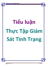 Tiểu luận Thực tập giám sát tình trạng