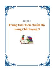 Báo cáo Trung tâm tiêu chuẩn đo lường chất lượng 3