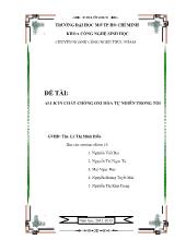 Đề tài Allicin chất chống oxi hóa tự nhiên trong tỏi