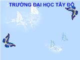 Đề tài Hành vi sử dụng sản phẩm thay thế túi nilon của người dân tại thành phố Cần Thơ năm 2010