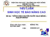 Đề tài Kênh vận chuyển nước qua màng - Aquaporins