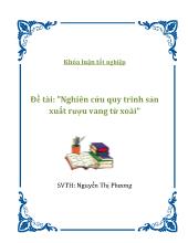 Đề tài Nghiên cứu quy trình sản xuất rượu vang từ xoài
