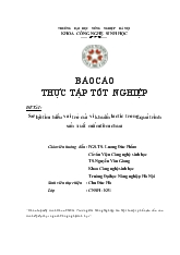Đề tài Sơ bộ tìm hiểu vai trò của vi khuẩn lactic trong quá trình sản xuất mắm tôm chua