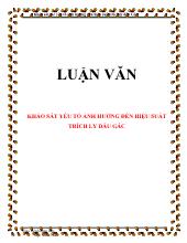 Luận văn Khảo sát yếu tố ảnh hưởng đến hiệu suất trích ly dầu gấc