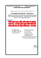 Nghiên cứu đề xuất các giải pháp khoa học công nghệ để ổn định lòng dẫn hạ du hệ thống sông đồng nai - Sài gòn phục vụ phát triển kinh tế - Xã hội vùng đông Nam Bộ