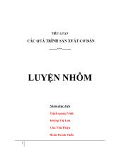 Tiểu luận Các quá trình sản xuất cơ bản - Luyện nhôm