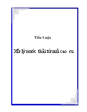 Tiểu luận Xử lý nước thải từ mủ cao su