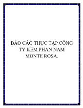 Báo cáo Thực tập công ty kem phan nam monte rosa