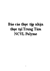 Báo cáo Thực tập nhận thực tại trung tâm nghiên cứu vật liệu polyme