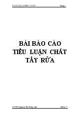 Báo cáo Tiểu luận bài chất tẩy rửa