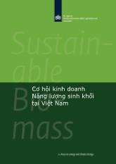 Cơ hội kinh doanh năng lượng sinh khối tại Việt Nam