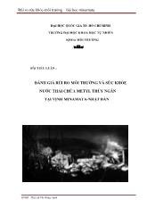 Đánh giá rủi ro môi trường và sức khỏe nước thải chứa metyl thủy ngân tại vịnh Minamata - Nhật Bản