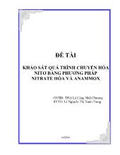 Khảo sát quá trình chuyển hóa nitơ bằng phương pháp nitrate hóa và anammox