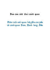 Phân tích mối quan hệ giữa các yếu tố cảnh quan đám, hành lang, nền