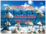 Tiểu luận Ô nhiễm biển Việt Nam