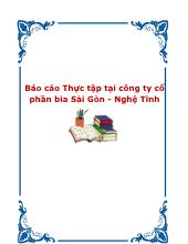 Tình hình hoạt động tại công ty cổ phần bia Sài Gòn - Nghệ Tĩnh