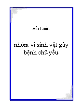 Bài luận nhóm vi sinh vật gây bệnh chủ yếu