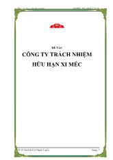 Đề tài Công ty trách nhiệm hữu hạn xi méc